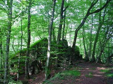 auvergne